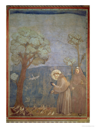 St Francis Preaching to the Birds Giotto